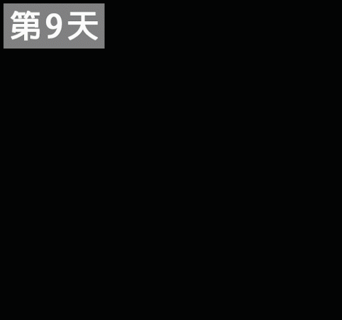 1744337180907419.gif 1744337180907419.gif