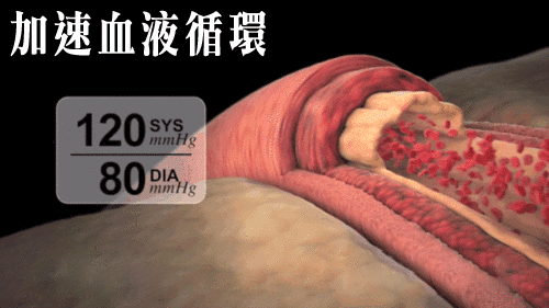 1756893814718053.gif 571280bc-4048-402f-b661-4cab9c2d9b32.gif